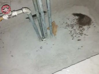 徐水区卫生间测漏水价格明细